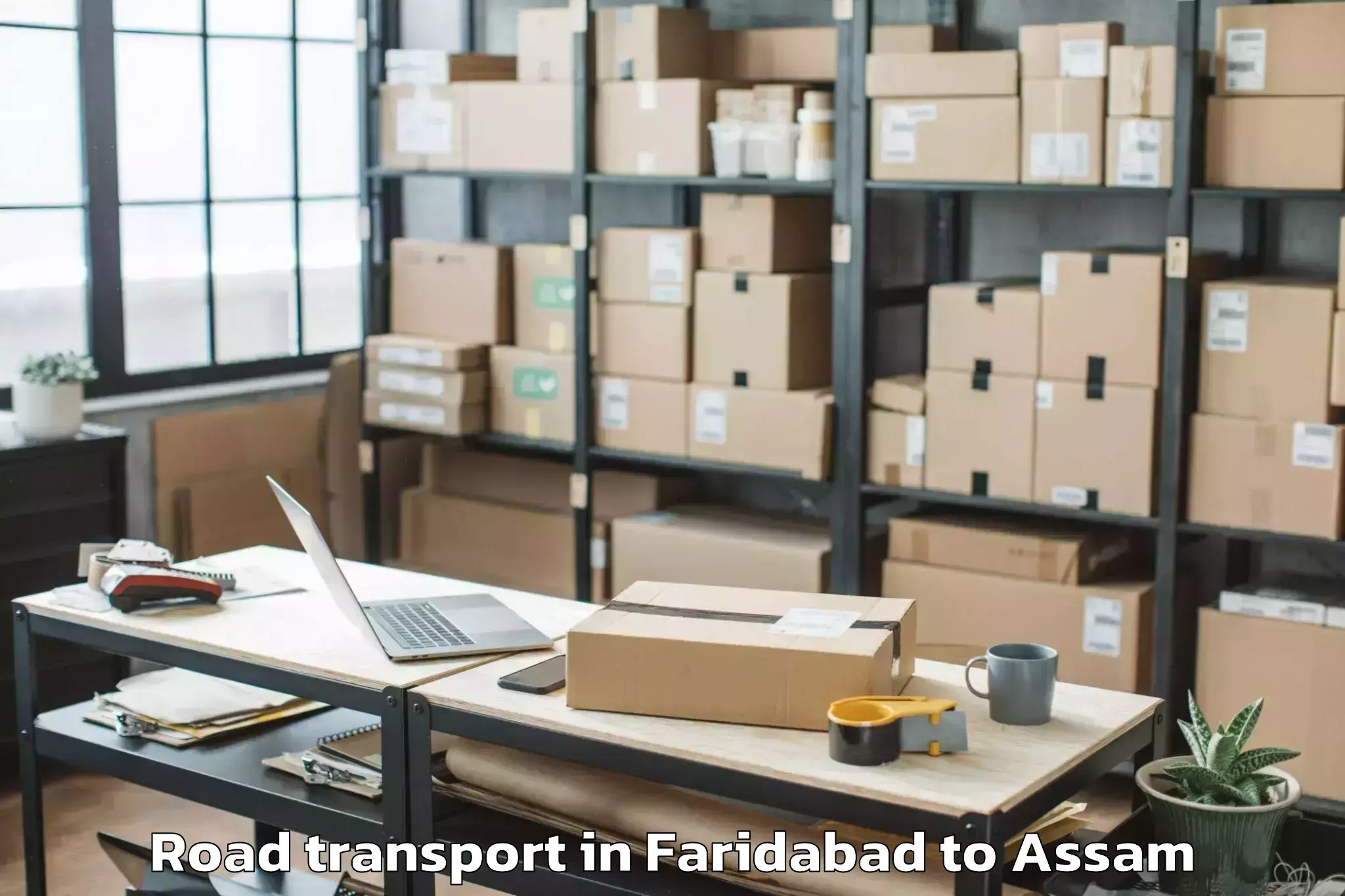 Affordable Faridabad to Titabor Road Transport